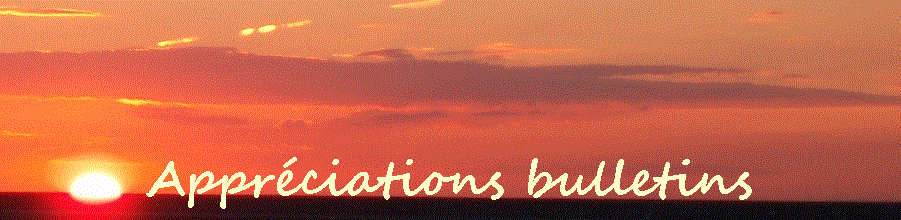 Appréciations bulletins