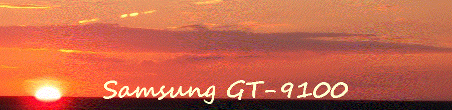 Samsung GT-9100