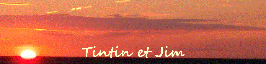 Tintin et Jim